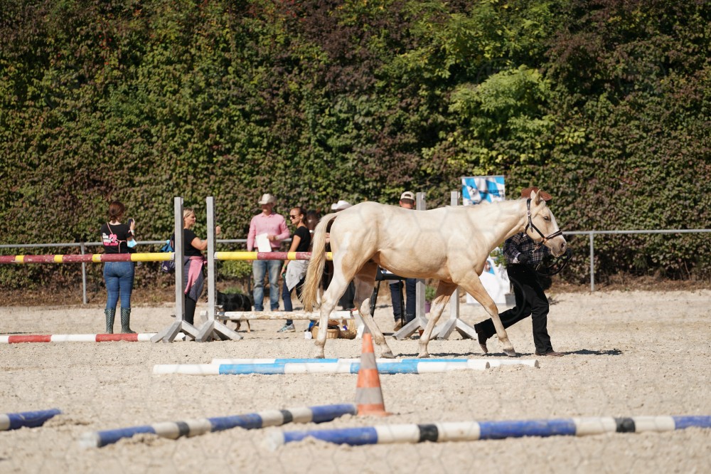 s_A_907650.JPG